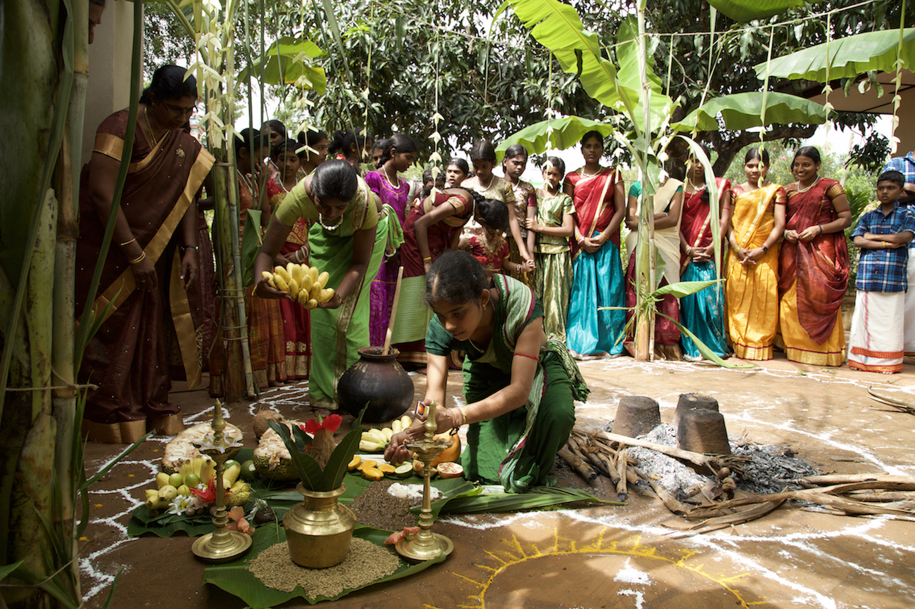 tamilnadu pongal