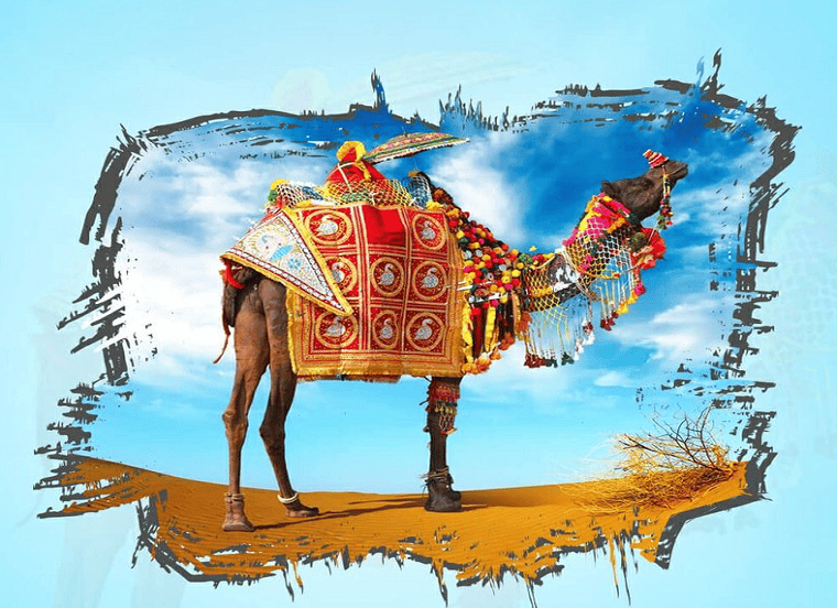 Rajasthan-Day-Special