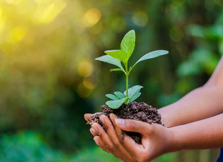 World-Environment-Day-