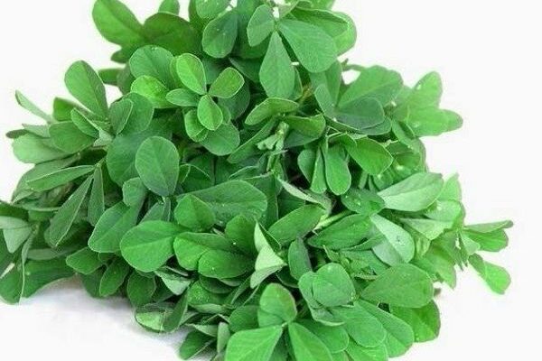 hari methi ke fayade