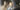 Actor-Ranvir-Shorey