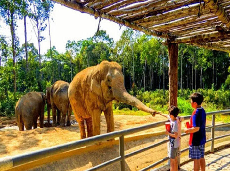 Reliance-Zoo-Jamnagar