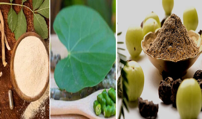 Immunity-Booster-Things