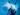 Airlines-Personnel-Vaccination