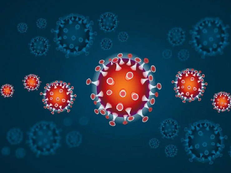 Govt-Objected-Indian-Variant