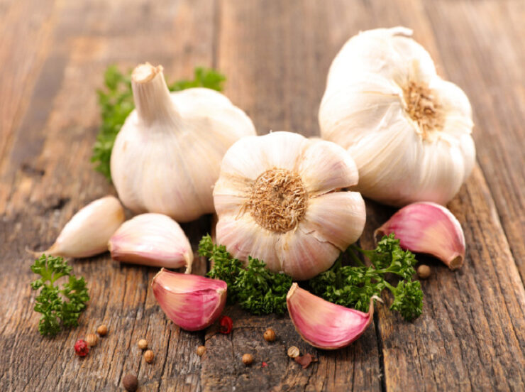 Disadvantages-of-Garlic