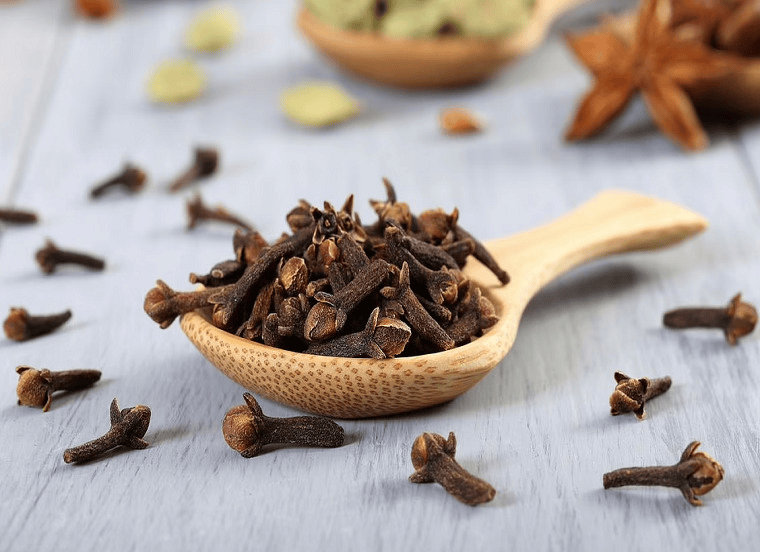 Benefits-of-Clove
